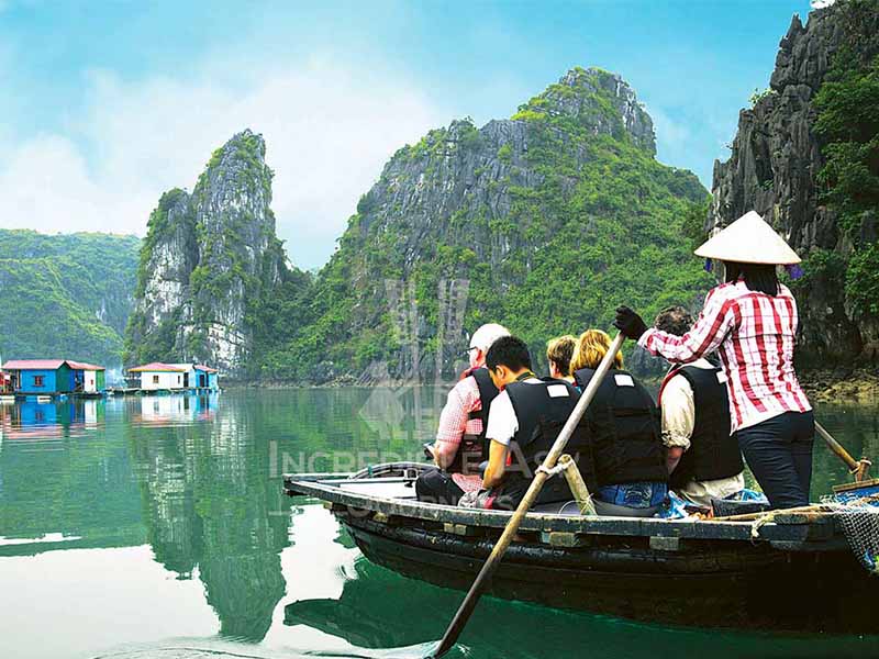 bai-tu-long-in-viet-nam